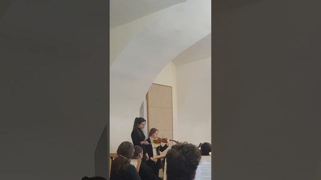 СИБЕЛИУС | КОНЦЕРТ ДЛЯ СКРИПКИ 1 ч. смотреть онлайн