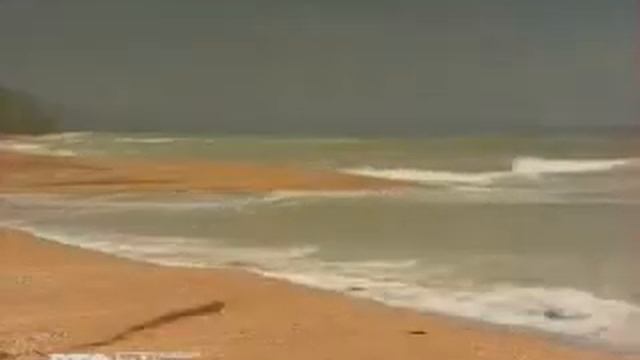 Природа Таманского полуострова смотреть онлайн