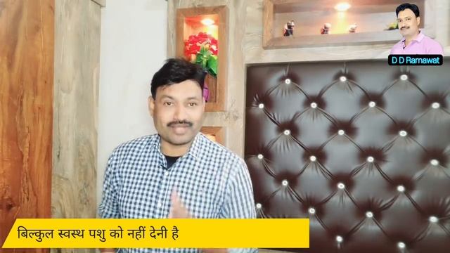 पशु को लिवर टॉनिक देने के कब नुकसान कब फायदे Liver Tonic for buffalo cow goat calf D D Ramawat смотреть онлайн