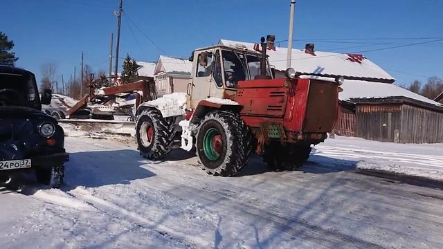Пестяковская корова смотреть онлайн