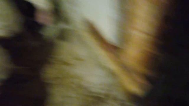 Индюки хайбрид конвертер неделя в холодном сарае в возрасте 1,5 месяца Переезд недельных индюшат смотреть онлайн