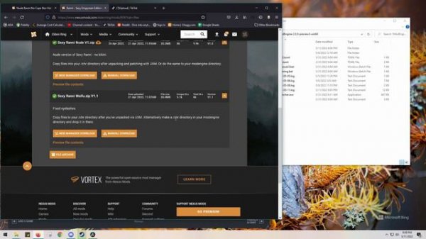 Mod Engine 2.0 Setup and CHR folder Guide Elden Ring Cheats Install Help Rani