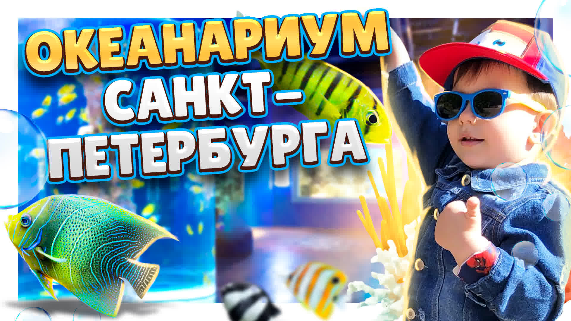 Санкт-Петербург ! Океанариум в ТРК "Планета Нептун" в центре города. #спб #Питер #океанариум смотреть онлайн
