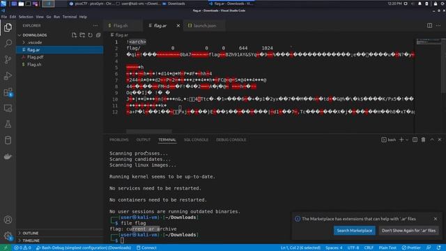 PicoCTF Walkthru [93] - File Types - Shell script debugging, File inspection, Intense suffering смотреть онлайн