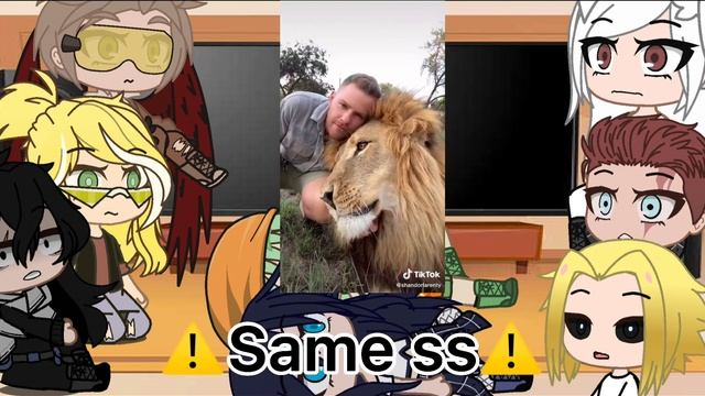 Pro heroes react to midoriyas pets ||GC||mhafan_fnaffan47 смотреть онлайн