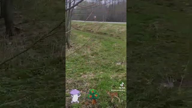 наша малышка #вольво #s60 смотреть онлайн