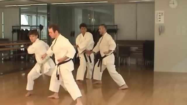 Andre Bertel - Asai Karate Seminar (Shibuya, Tokyo. January 2010). смотреть онлайн