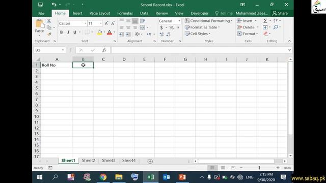 Create Workbook and Worksheets, Computer Science Lecture | Sabaq.pk смотреть онлайн