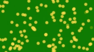 ФУТАЖ  - ЭФФЕКТ  БОКЕ    - ХРОМАКЕЙ НА ЗЕЛЕНОМ ФОНЕ