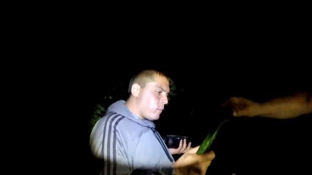 РЫБАЛКА или ГРИБАЛКА18+ смотреть онлайн