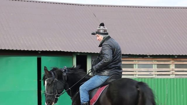 Установка Тахографа на =Коня= смотреть онлайн