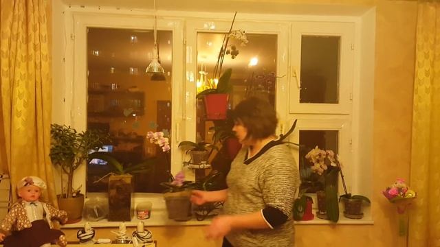 Все плюсы и минусы фитоламп с цоколем смотреть онлайн
