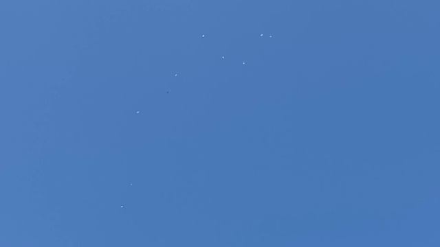 Голуби Салеха. г Махачкала. Подъём голубей!!! Pigeons Salih. city of Makhachkala. dove rise!!! смотреть онлайн