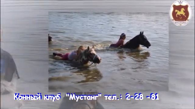Конный клуб "Мустанг" в г. Усть-Илимске Иркутской области смотреть онлайн