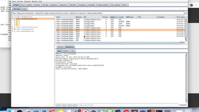 Burp Suite - Track API of any applications смотреть онлайн