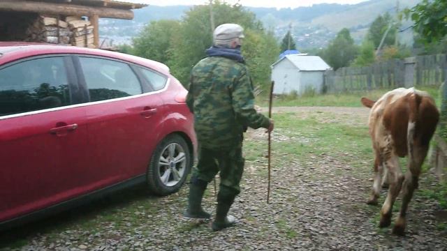 г. Сим (Ашинмкий район Челябинской области) смотреть онлайн