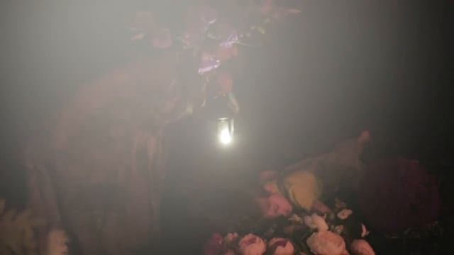 Видео визитка фестиваля "Ветер в ивах" 2016 смотреть онлайн