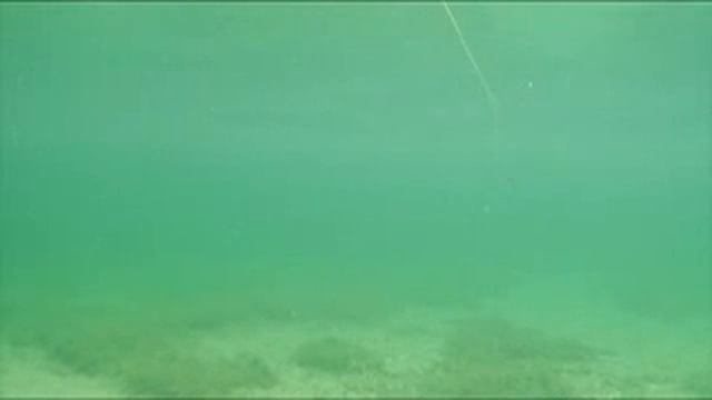 EG-160 - Strike Pro Vobler Tailblazer 95 смотреть онлайн