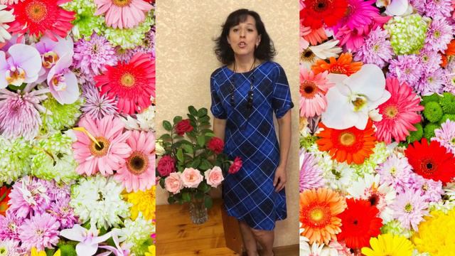 Поздравление для учителей от родителей 11-А класса