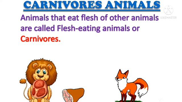 Herbivores |Carnivores | Omnivores for kids|Types of Animals | Animals Eating habits for kids.... смотреть онлайн