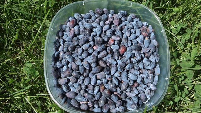 Музыкальные Каверы