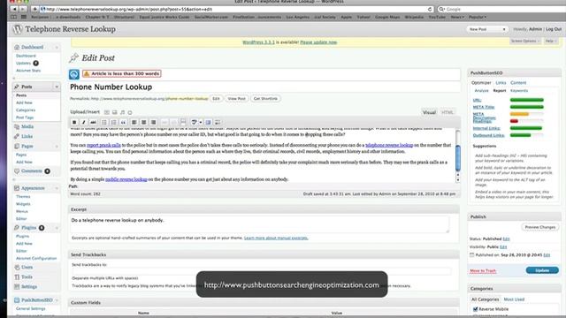 Push Button SEO 2 смотреть онлайн