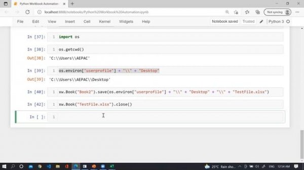 Python Excel Automation: Excel Workbook Automation with Python #3