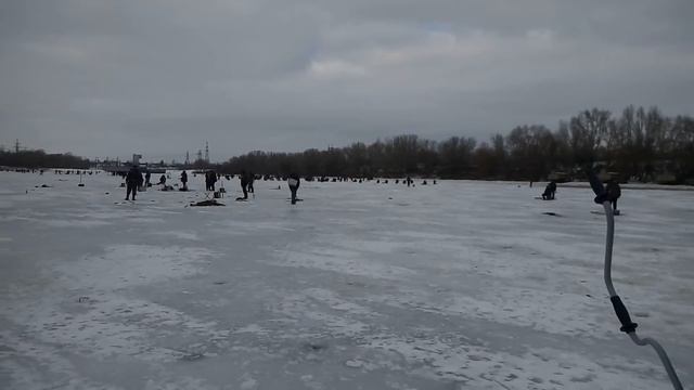 Очень много людей рыбалка в Каневе смотреть онлайн