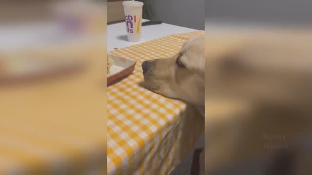 Музыкальная стиралка, Когда всё общее, Та тихо ты я видео записываю смотреть онлайн