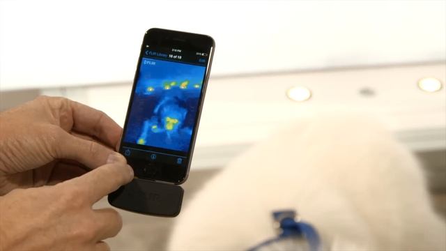 FLIR Unveils Its Next Generation FLIR ONE Thermal Imager смотреть онлайн