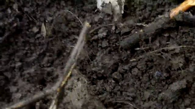 Sorex Pro hunt 9 mar 2014 смотреть онлайн