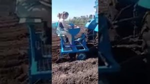 Самодельная картофеле сажалка.