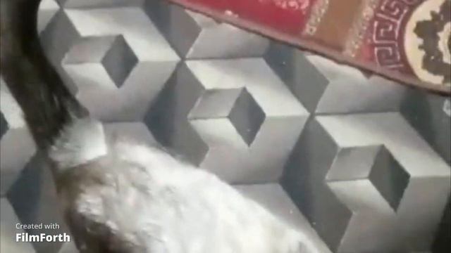 Скучает Даша смотреть онлайн