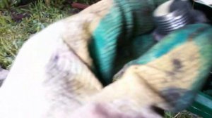 Замена масел и радиатора печки на хендай HD78