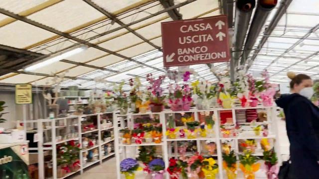 Вивайо – обзор цветочного рынка в Италии. Цены смотреть онлайн