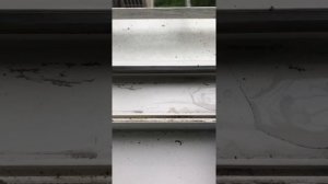 Дренажные отверстия . Зачем в окне дырки