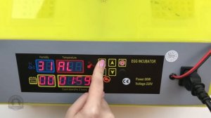 Настройка китайского инкубатора HHD на 48 яиц. Инкубация куриных яиц. Инкубация перепелиных яиц.