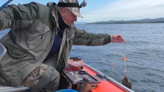 КАМБАЛА ДИКИЙ КЛЁВ КАК ИЗ БОЧКИ!!! 30.05.2021г.ЗАЛИВ ВОСТОК!!! смотреть онлайн