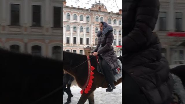 Мохнатая вологодская лошадка смотреть онлайн