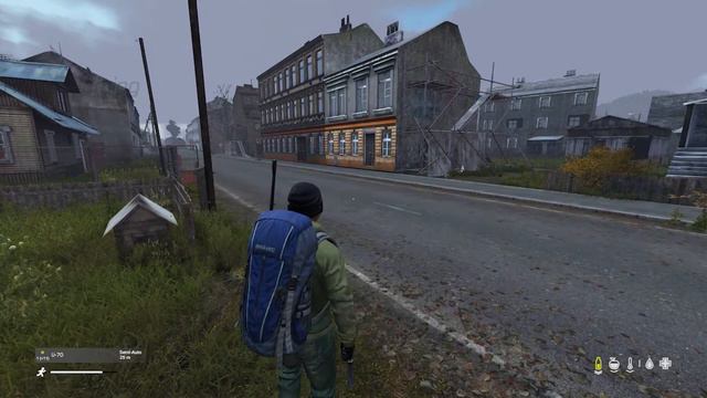 DayZ Offline Mode
