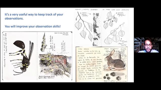 4HAS Birds of Albacete, Spain with Guillermo García-Saúco смотреть онлайн