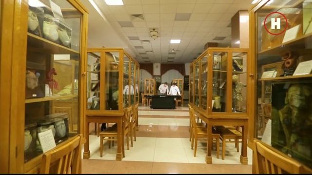 тайни анатомии . Пищеварительная система смотреть онлайн