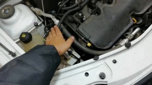 Лада Ларгус. Температура ОЖ спорадически скачет, вентилятор живёт своей жизнью.