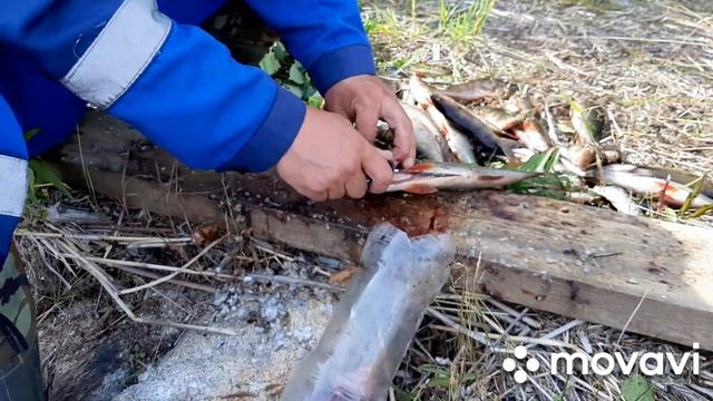 Как чистить рыбу! смотреть онлайн