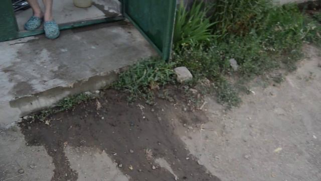 До замены приводного ремня VW Passat смотреть онлайн