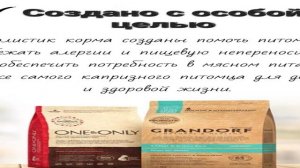 Топ - 5. Лучшие сухие корма для собак мелких пород 2024