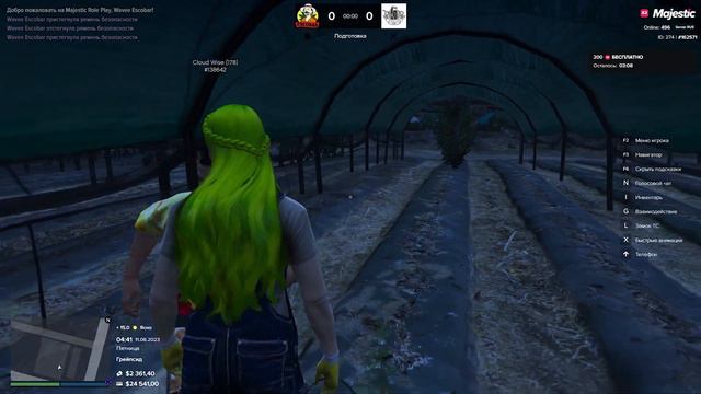 ПУТЬ ДЕВУШКИ С НУЛЯ до LAMBORGHINI ESSENZA GTA 5 RP #3 | 48ч ВЫРАЩИВАЮ ЧАЙ | MAJESTIC RP смотреть онлайн