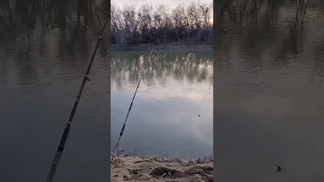 Чистые Пруды. Гульнур Нуратаева смотреть онлайн