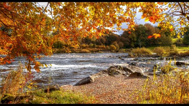 ОКУНЬ ОСЕНЬЮ. ГДЕ КАК И НА ЧТО ЛОВИТЬ смотреть онлайн