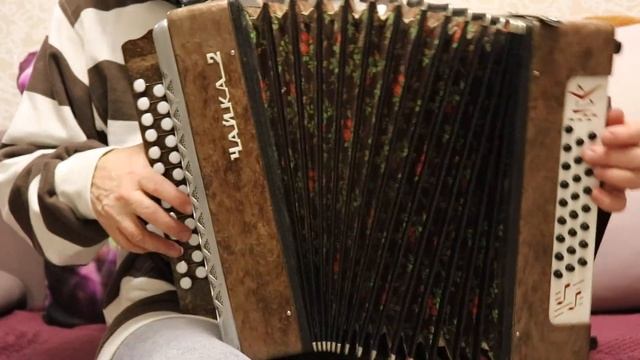 Гармонь шуйская «Чайка-2» 25х25-lll, трёхголосная. Тональность – ля-мажор. смотреть онлайн